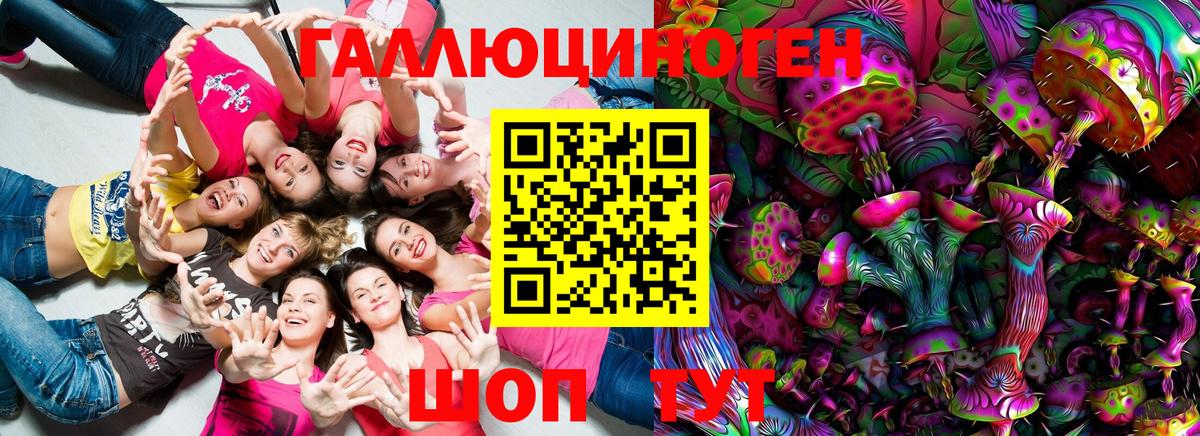 Псилоцибиновые грибы Psilocybine cubensis Клин
