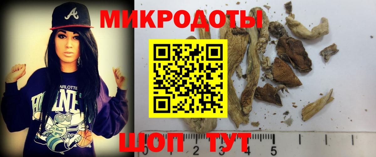 Галлюциногенные грибы Cubensis  Галлюциногенные грибы мицелий  Клин  Вход с VPN 